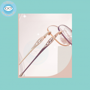 Gọng kính kim loại mã 6193